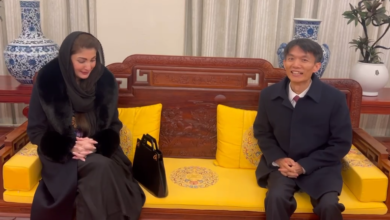 cm maryam nawaz reached china