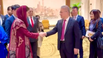 cm maryam nawaz reached shanghai