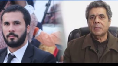 hafeez ullah niazi,hassan niazi