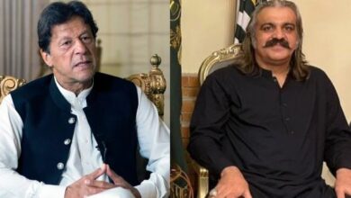 imran khan and ali amin gandapur