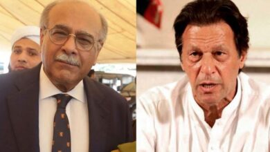 imran khan and najam sethi