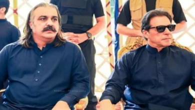 imran khan,ali amin gandapur