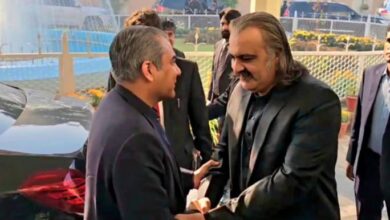 mohsin naqvi meet with ali ameen gandapur