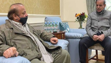 pm shebaz sharief met nawaz sharief