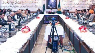 punjab cabinet