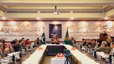punjab cabinet meeting