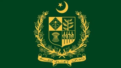 report about government