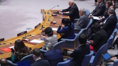 Pakistan elected as key member of Security Council