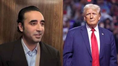 bilawal and trump nashta