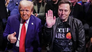 elon musk and trump
