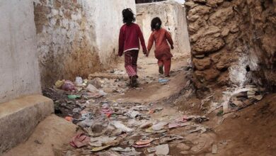 fao report for pakistan