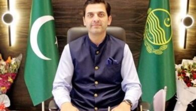 malik sohaib ahmed bherth