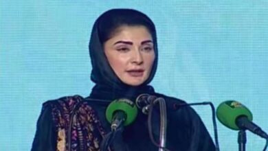 maryam nawaz