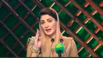 maryam nawaz in pakpattan