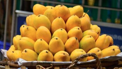 pakistani mango