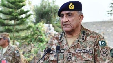qamar javed bajwa