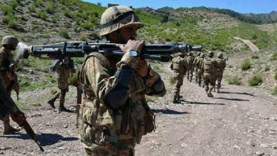 security forces operation against terrorist in 2024
