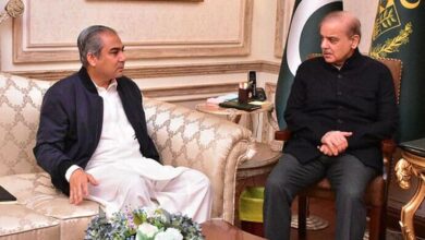 shahbaz sharif meeting with mohsin naqvi