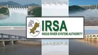 IRSA