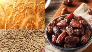 Zakat al-Fitr and Fidyah as-Sawm