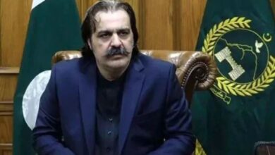 ali ameen gandapure