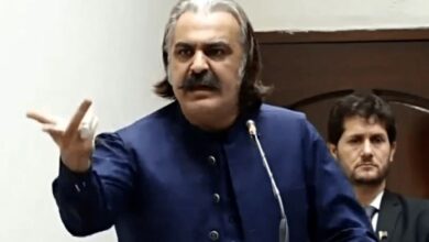 ali amin gandapur