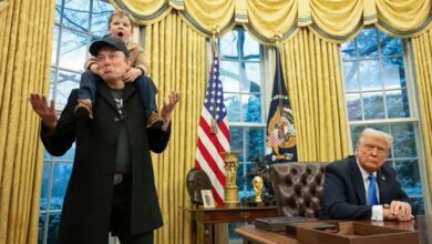 elone musk child and trump