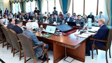 federal cabinet of pakistan