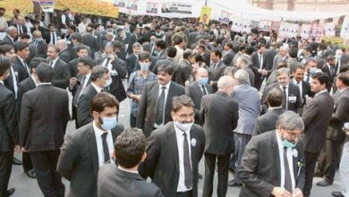 lahore high court bar election 2025