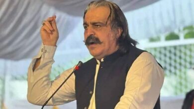 ali ameen gandapur