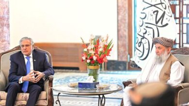 afghan pm ,ishaq dar