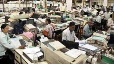 govt servant fired from job