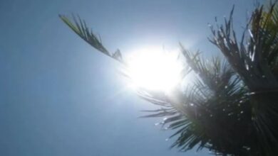 hot weather in lahore