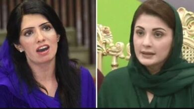 maryam nawaz and aliya hamza
