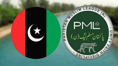 pepoles party and pmln fight