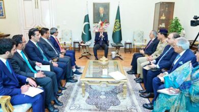 uae vice president meeting with shahbaz sharif