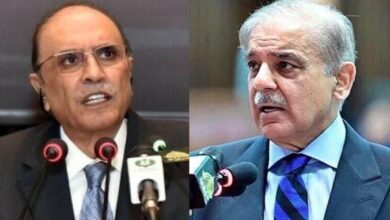 zardari and shahbaz sharif news