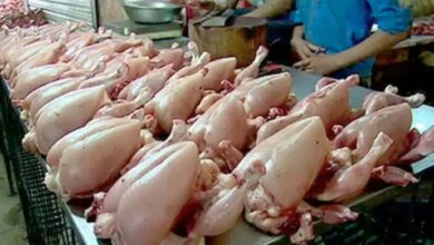 Chicken meat prices