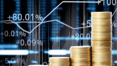 Foreign investment in pakistan