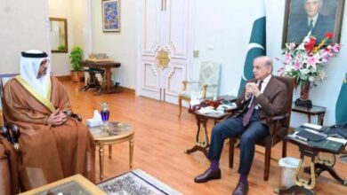 Prime Minister meets with Emirati Ambassador