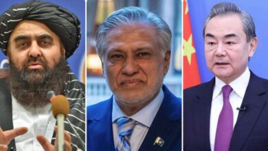 ameer mataqi,ishaq dar,wang zee