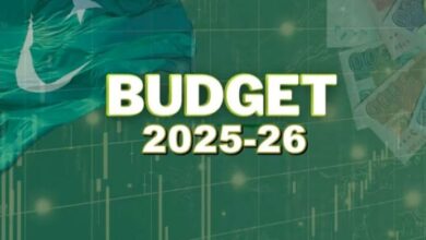 budget 2025