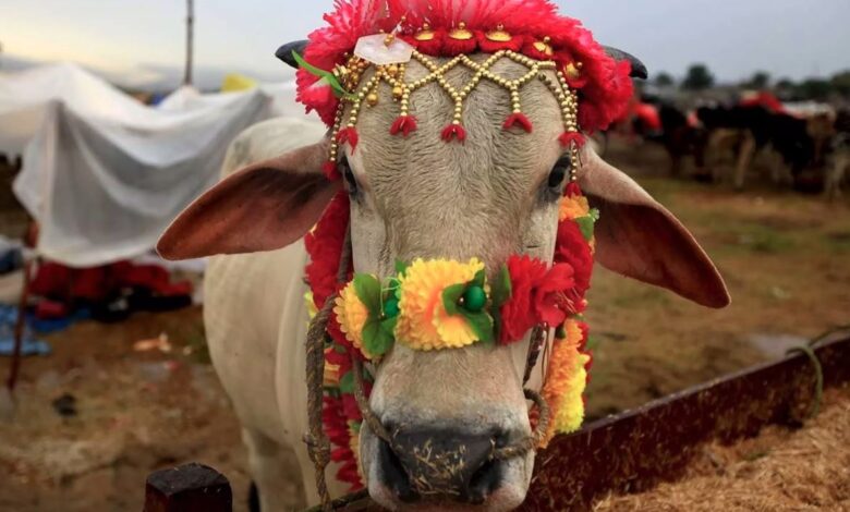 eid ul adha leave 2025