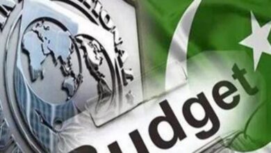 imf,pakistan,budget