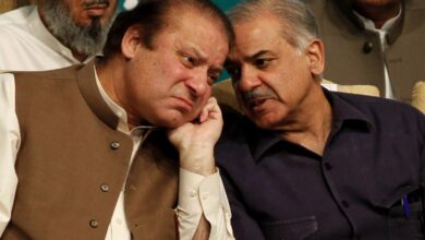 nawaz sharif and shahbaz sharif