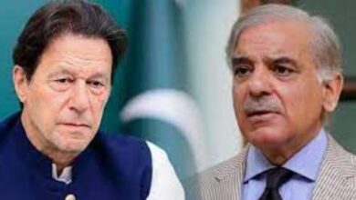 pm shebaz sharief,imran khan