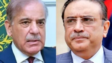 president asif ali zardari,pm shebaz sharief