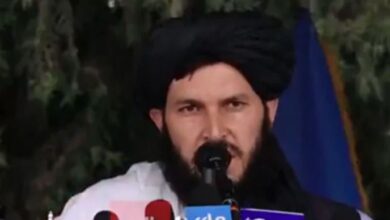 taliban government