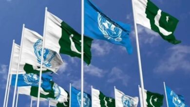 Security Council