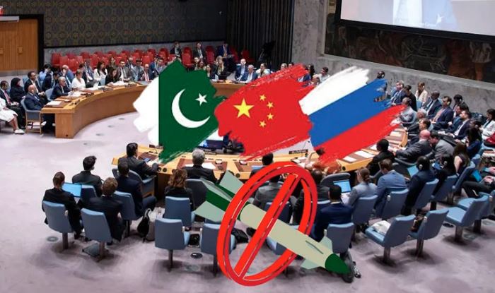 Security Council